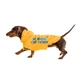 Дощовик для собак Noble Pet Moss Bravery XL - зображення 4