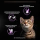 Вологий корм для кошенят Pro Plan Baby Kitten Healthy Start 85 г - курка - изображение 5