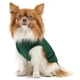 Pet Fashion Kale борцівка для собак S - изображение 1