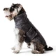 Пальто для собак Noble Pet Patrick М - зображення 6