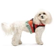 Pet Fashion Monika шлейка для собак XS-2 - зображення 2