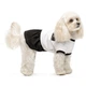 Pet Fashion Chanti сукня для собак XS - изображение 1