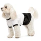 Pet Fashion Chanti сукня для собак XS-2 - изображение 2