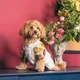 Pet Fashion Соломія сорочка для собак XS-2 - изображение 5