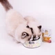 Brit Care Soup pouch вологий корм для котів 75 г - качка - изображение 7