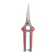 Секатор для винограда 200 мм, INOX, двухкомпонентная рукоятка INTERTOOL FT-1015 - изображение 2