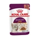 Набір кормів для котів Royal Canin exigent savour 2 кг + 4 pouch вологого корму - домашня птиця - зображення 3