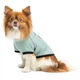 Pet Fashion Oscar футболка для собак S - изображение 2