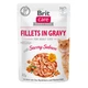 Вологий корм для котів Brit Care Cat pouch 85g (філе лосося в соусі) - зображення 1