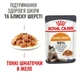 Вологий корм для котів Royal Canin Hair & Skin Care 85 г - изображение 3