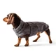 Пальто для собак Noble Pet Patrick L - зображення 1
