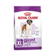 Сухий корм для дорослих собак гіганських пород Royal Canin Giant Adult 15 кг (домашня птиця) - зображення 1