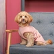 Pet Fashion Kale борцівка для собак М - изображение 4