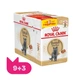 Упаковка вологого корму для котів Royal Canin British Shorthair Adult Gravy 9+3 шт х 85 г - изображение 1