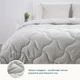 Одеяло ТЕП VELOUR светло-серое, 200x210 (1-04872_34485) 2000999924620 - изображение 1