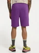 Шорты короткие мужские Jack Wolfskin Celebrate The Paw Shorts A65908-I0132 M Фиолетовые (4064886679237) - изображение 2