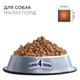 Сухий корм для собак Club 4 Paws Premium Small Breed 2 кг - курка - изображение 3