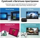 Портативний монітор LAFVIN 10,1" 1024x600 Black (R4782131820250) - изображение 2