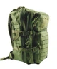 Рюкзак Silver Knight с Molle (35 литров) Олива - изображение 3