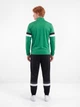 Спортивный костюм мужской Puma teamRise Trg 65865305 XL Sport Green-Black (4099685976331) - изображение 2
