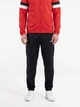 Спортивный костюм мужской Puma Teamrise Trg 65903601 S Red (4099685470099) - изображение 4