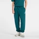 Мужские бирюзовые спортивные брюки New Balance Sport Essentials FT Jogger 54 (XXL) (MP41519AAV) - изображение 1