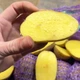 Насіннєва картопля Сорая 1 кг, 90-110 днів 2 репродукція - зображення 5