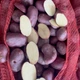 Насіннєва картопля Есмі 1 кг, 50-60 днів 2 репродукція - изображение 3