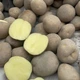 Насіннєва картопля Вінета 1 кг, 60-70 днів 2 репродукція - изображение 1