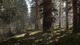 Видеоигра, Rockstar Games Red Dead Redemption 2 Bonus DLC Edition PS4 итальянский язык немецкая упаковка 18+ - Уценка - изображение 5