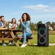 Портативная акустическая колонка 80Вт 2 микрофона Bluetooth USB черный ZXX-5550 для караоке - изображение 2