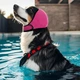 Водонепроницаемые наушники для собак с регулировкой и защитой от шума Pawstrip pink M - изображение 1