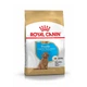 Сухий корм для цуценят породи пудель Royal Canin Poodle Puppy, 500 гр - зображення 1