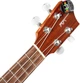 Тюнер-прищіпка D'Addario PW-CT-12RC Micro Rechargeable Headstock Tuner - зображення 4