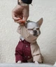 Дождевик трансформер DogsBomba марсала беж размер 8 для собак такс пород с длинным туловищем 3в1 съемный капюшон штанишки водоотталкивающая плащевая ткань кнопки на груди регулируемый обхват унисекс (М-148/8) - изображение 2