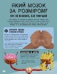 Ця книжка повна мізків. Усілякі мізки та як вони працюють - Тім Кеннінгтон - зображення 4