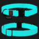 Ошейник для собак WAUDOG Waterproof с QR паспортом, водостойкий, металлическая пряжка-фастекс с площадкой для гравировки 34-49 см 25 мм Ментоловый (Светится в темноте!) (2785) - изображение 2