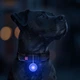 RGB ліхтарик WAUDOG LED DOG LIGHT для собак та котів - зображення 3