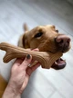 Игрушка для собак GiGwi Wooden Antler Рог жевательный, дерево, полимер, L (2343) - изображение 4