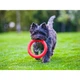 Кільце для апортування Collar PitchDog для собак, Ø17 см Рожевий (62367) - зображення 8