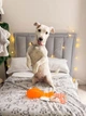 Игрушка для собак WAUDOG Fun Durable Окорок, термопластичная резина, 190 мм, оранжевый - изображение 9