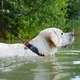 Поводок для собак WAUDOG Waterproof, черный, M (20 мм, 122 см) (27271) - изображение 7