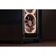 Корпус Frontier Antec Flux Pro Noctua Edition Tempered Glass без БЖ Black/Brown (Antec Flux Pro Noctua Edition) - зображення 9