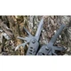 Мультитул Multi Tool Ganzo G103, черный - изображение 19