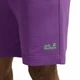 Шорти CELEBRATE THE PAW SHORTS M Jack Wolfskin A65908_I0132 54 Фіолетовий (4064886679299) - изображение 5