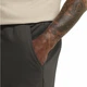 Шорти CELEBRATE THE PAW SHORTS M Jack Wolfskin A65908_F0302 44 Коричневий (4064886679497) - изображение 4