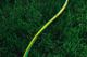 Шланг для поливу садовий 2Е AquaFlex Emerald Pro 3/4" 20 бар 20м Зелений/Жовтий (2E-GHE34ED20) - зображення 6