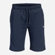 Шорты хлопковые короткие мужские Jack & Jones 12288638 S Sky Captain (5715830448421) - изображение 7