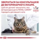 Вологий корм Royal Canin (Роял Канин) Cat Early Renal Mature Poultry для котів похилого віку для підтримки функції нирок у разі ниркової недостатності з м’ясом птиці 85 г (арт 12430010) - зображення 4