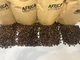 Кавовий набір AFRICA 2 кг 4×500 г у зернах: Arabica Mix / Espresso Blend / Robusta Mix / Robusta Guinea - зображення 9